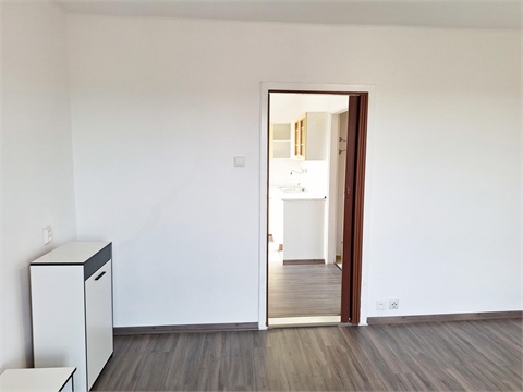 Prodej bytu 1+1, 29 m² 8