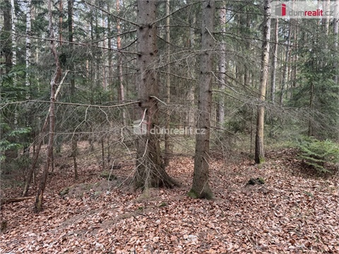 Prodej lesu, 4 147 m² - 2