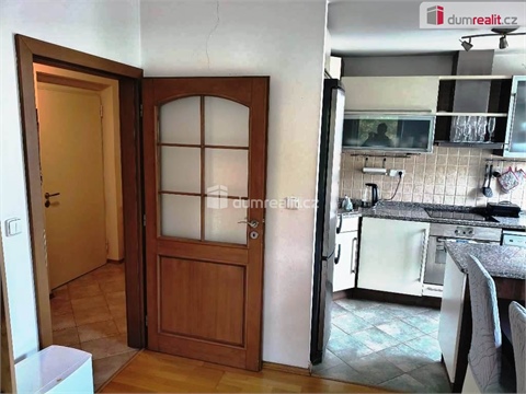 Pronájem bytu 1+1, 49 m² 2