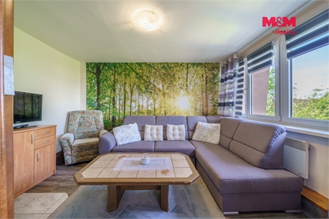Prodej bytu 3+1, 70 m² - 10