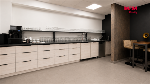 Pronájem obchodních prostor, 210 m² - 6