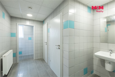 Pronájem obchodních prostor, 210 m² 10