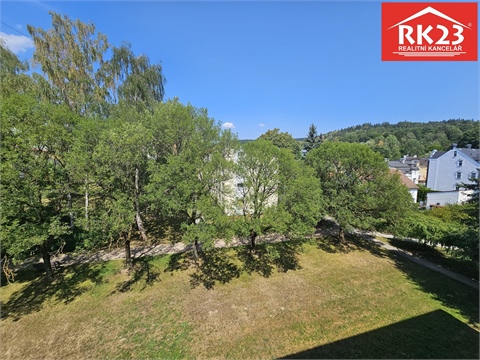 Prodej bytu 3+1, 65 m² 8
