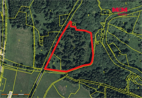 Prodej lesu, 18 821 m² - 4
