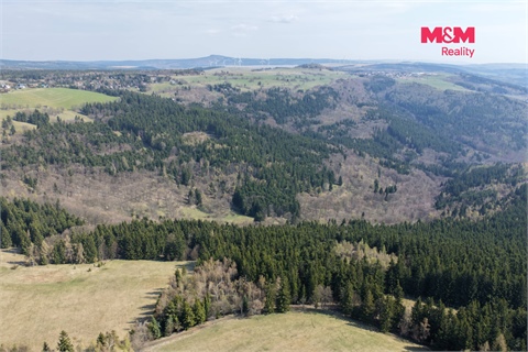 Prodej lesu, 18 821 m² - 0