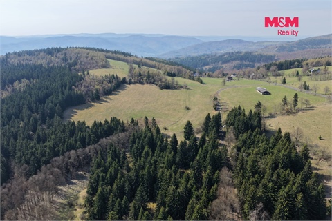 Prodej lesu, 18 821 m² 4
