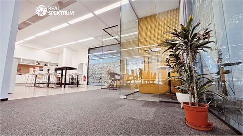 Pronájem kanceláře, 257 m² - 0