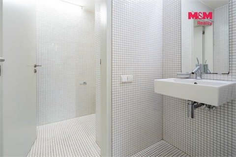 Prodej rodinného domu, 334 m² - 10