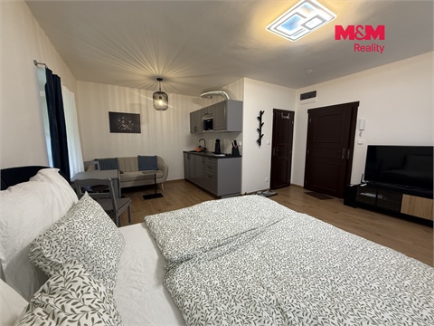 Pronájem bytu 1kk, 27 m² 4