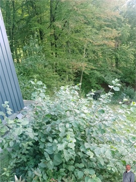 Prodej chaty / chapuly, 26 m² - 4