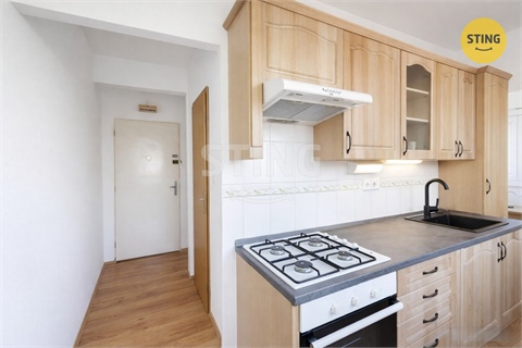 Pronájem bytu 1+1, 37 m² - 12