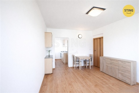 Pronájem bytu 1+1, 37 m² 14