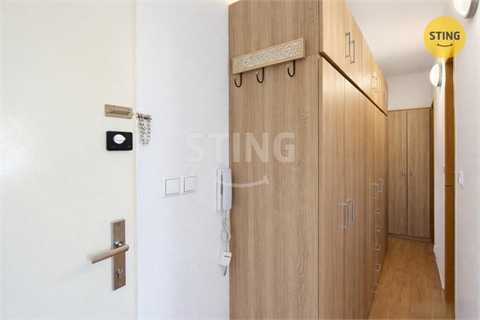Pronájem bytu 1+1, 37 m² 16