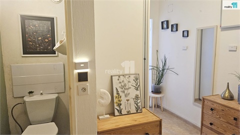 Prodej bytu 1+1, 77 m² 8