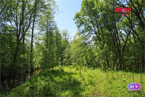 Prodej lesu, 2 037 m² - 2