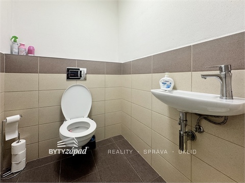 Pronájem bytu 3kk, 67 m² 8