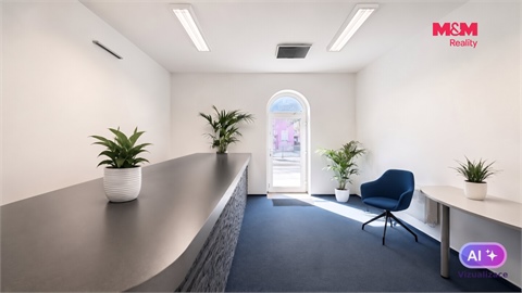 Pronájem obchodních prostor, 108 m² - 2