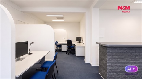 Pronájem obchodních prostor, 108 m² - 14