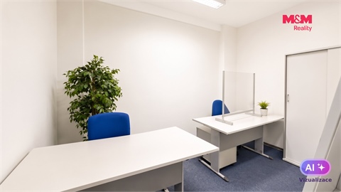 Pronájem obchodních prostor, 108 m² - 10