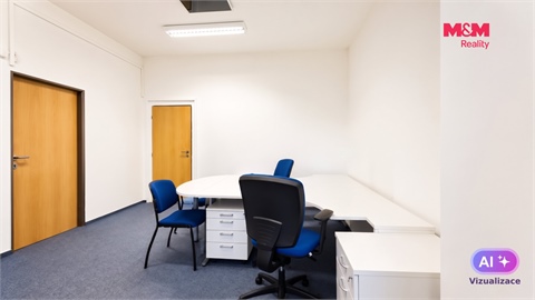 Pronájem obchodních prostor, 108 m² - 12