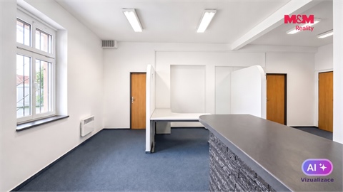 Pronájem obchodních prostor, 108 m² - 24