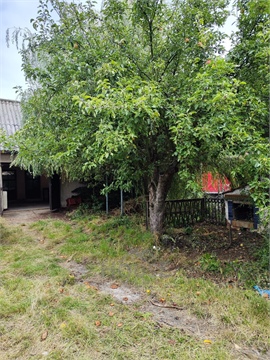 Prodej rodinného domu, 400 m² - 4