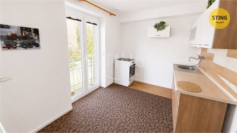 Prodej bytu 1+1, 28 m² - 4