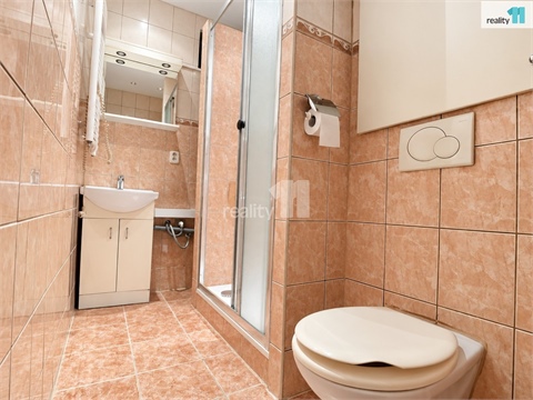 Prodej bytu 2+1, 58 m² - 10