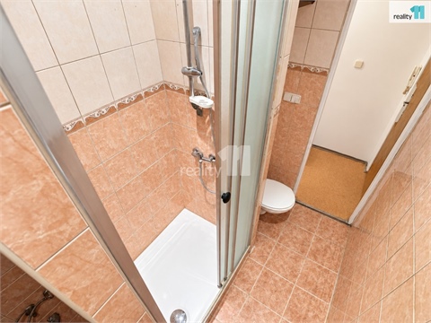 Prodej bytu 2+1, 58 m² 12