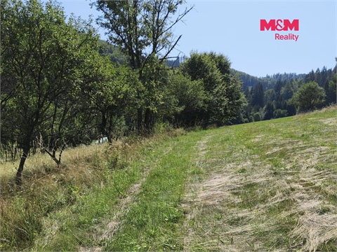 Prodej louky, 1 784 m² - 2