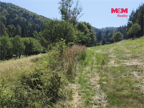 Prodej louky, 1 784 m² - 4