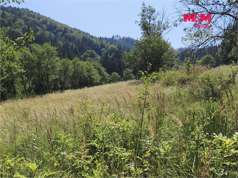 Prodej louky, 1 784 m² - 6