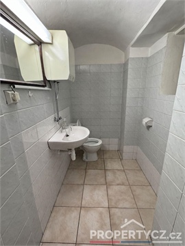 Prodej atypického bytu, 114 m² - 14
