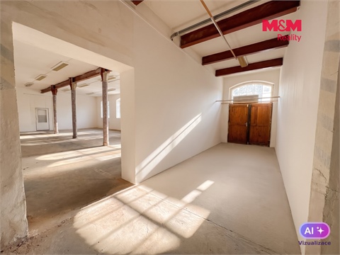 Pronájem obchodních prostor, 390 m² - 8