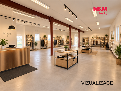 Pronájem obchodních prostor, 390 m² - 2