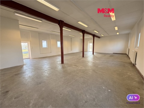 Pronájem obchodních prostor, 390 m² - 0