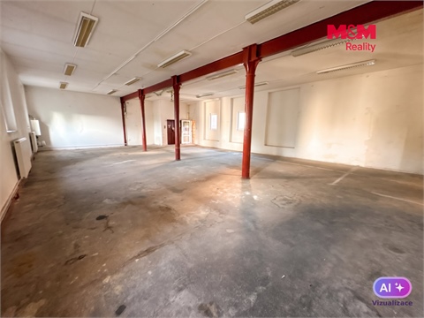 Pronájem obchodních prostor, 390 m² - 10