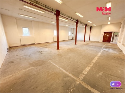 Pronájem obchodních prostor, 390 m² - 6