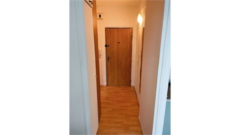 Prodej bytu 1+1, 35 m² 8