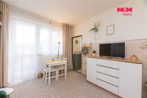 Prodej bytu 1+1, 27 m² - 4