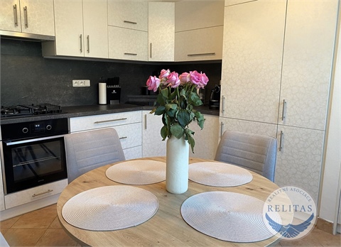 Pronájem bytu 1+1, 55 m² - 12