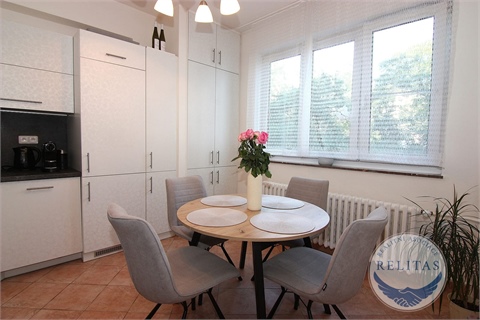 Pronájem bytu 1+1, 55 m² 2