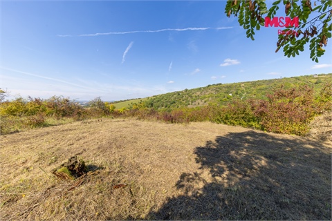Prodej zahrady, 3 718 m² 6