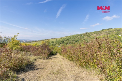 Prodej zahrady, 3 718 m² 8