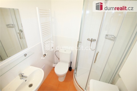 Pronájem bytu 1kk, 25 m² 4