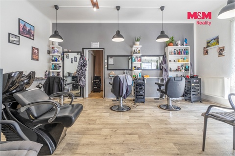 Prodej rodinného domu, 231 m² 16
