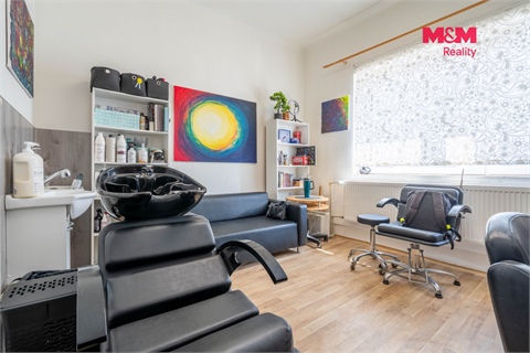 Prodej rodinného domu, 231 m² - 14