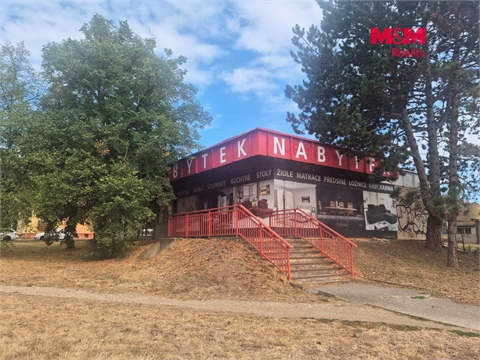Prodej obchodních prostor, 468 m² 4