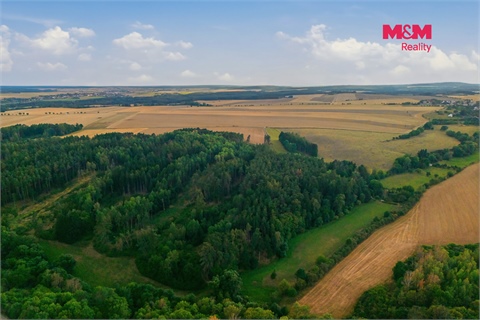 Prodej lesu, 5 988 m² - 2