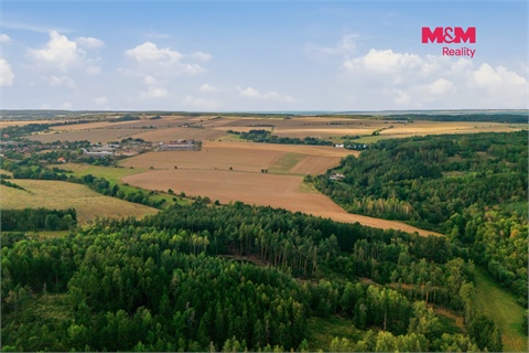 Prodej lesu, 5 988 m² 2